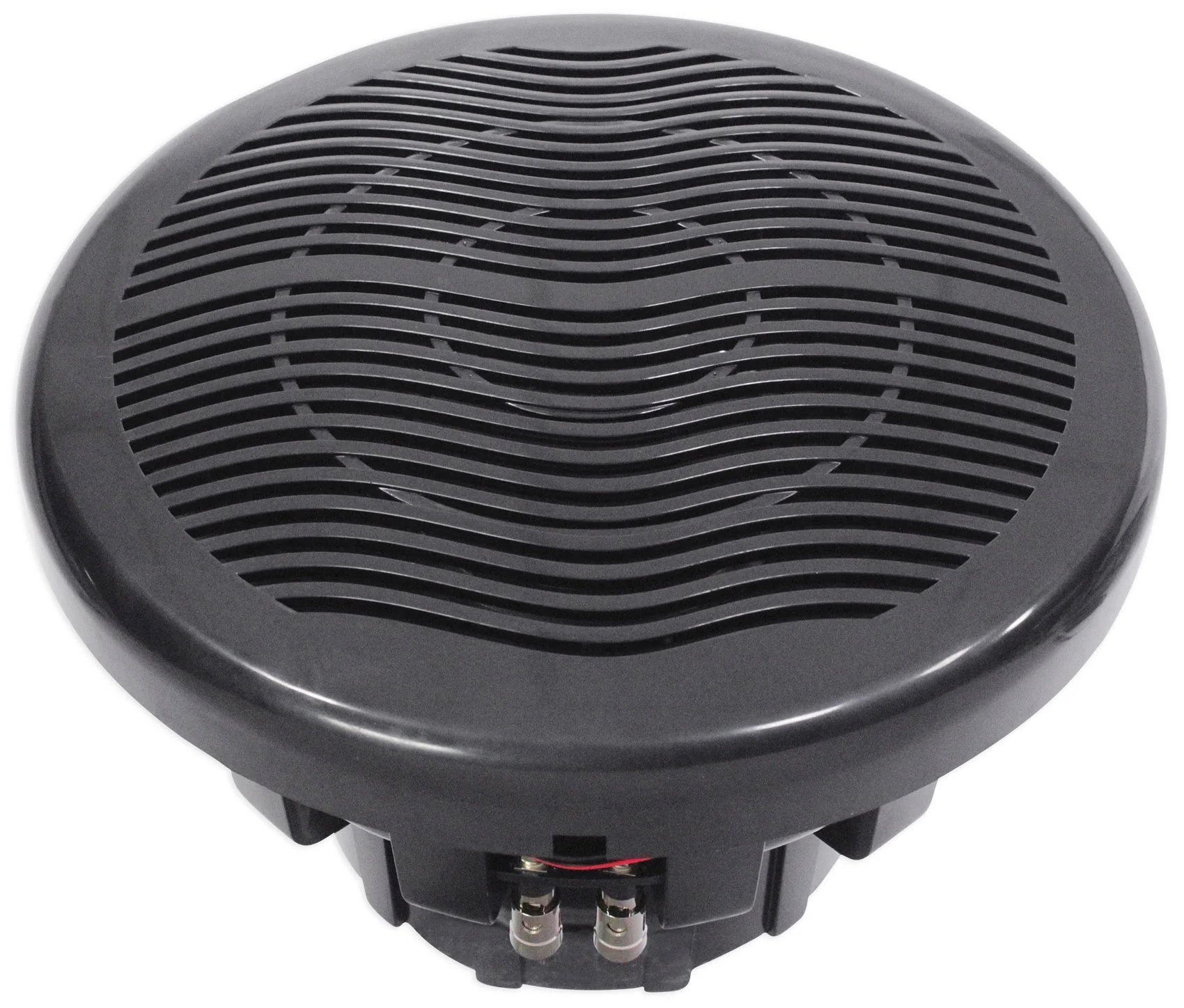 MS10LB 2-Pack - Image 4