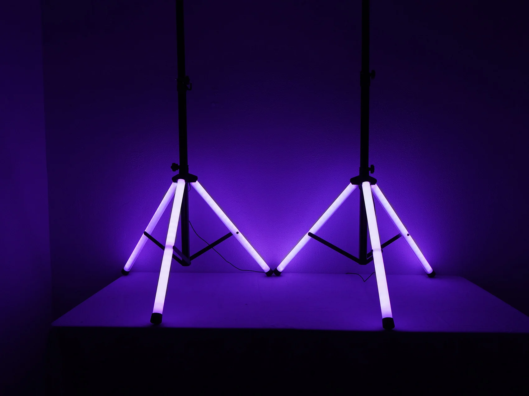 SPG88 8" Passive Speakers 2-Pack + PARTY STAND LED Stands Bundle - Image 9