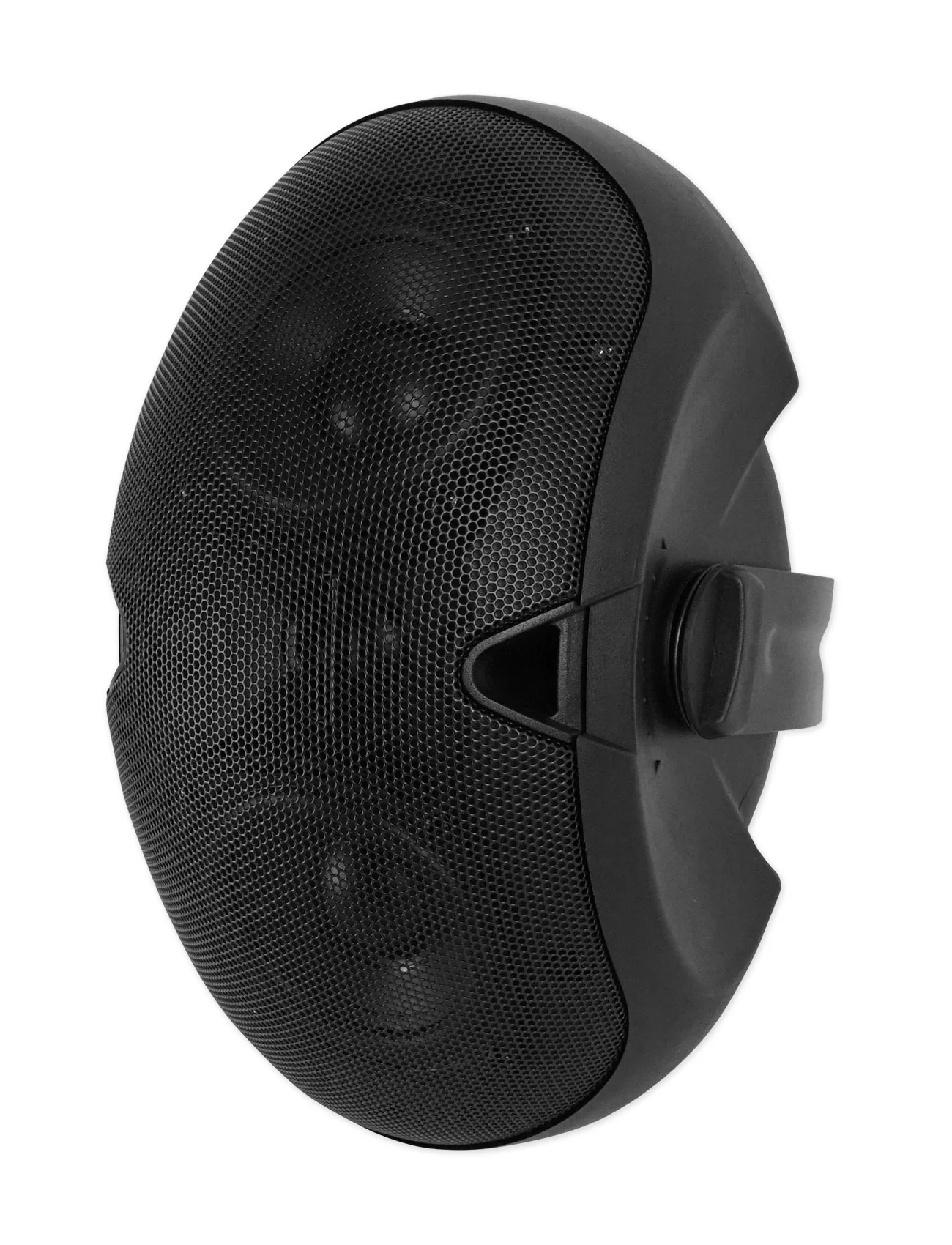 BLUAMP 100 + D4-8 Black 4-Pack Bundle - Image 6