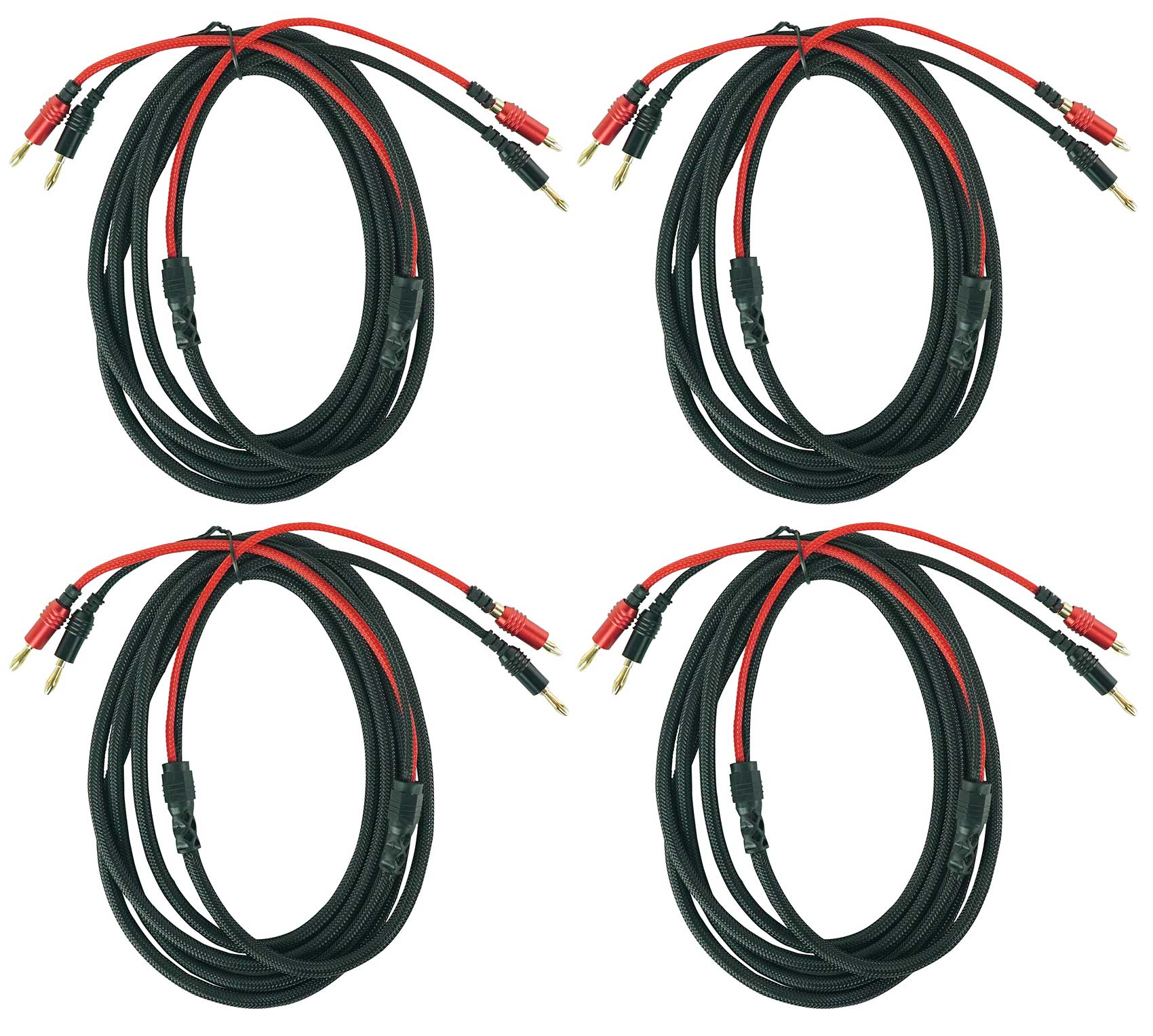 BN10 - Image 4
