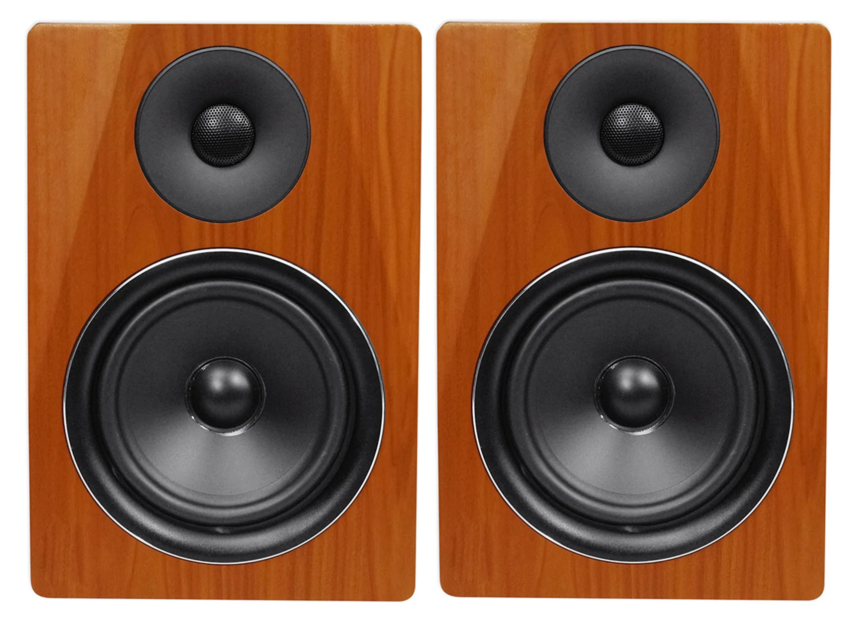 DPM6C 2-Pack