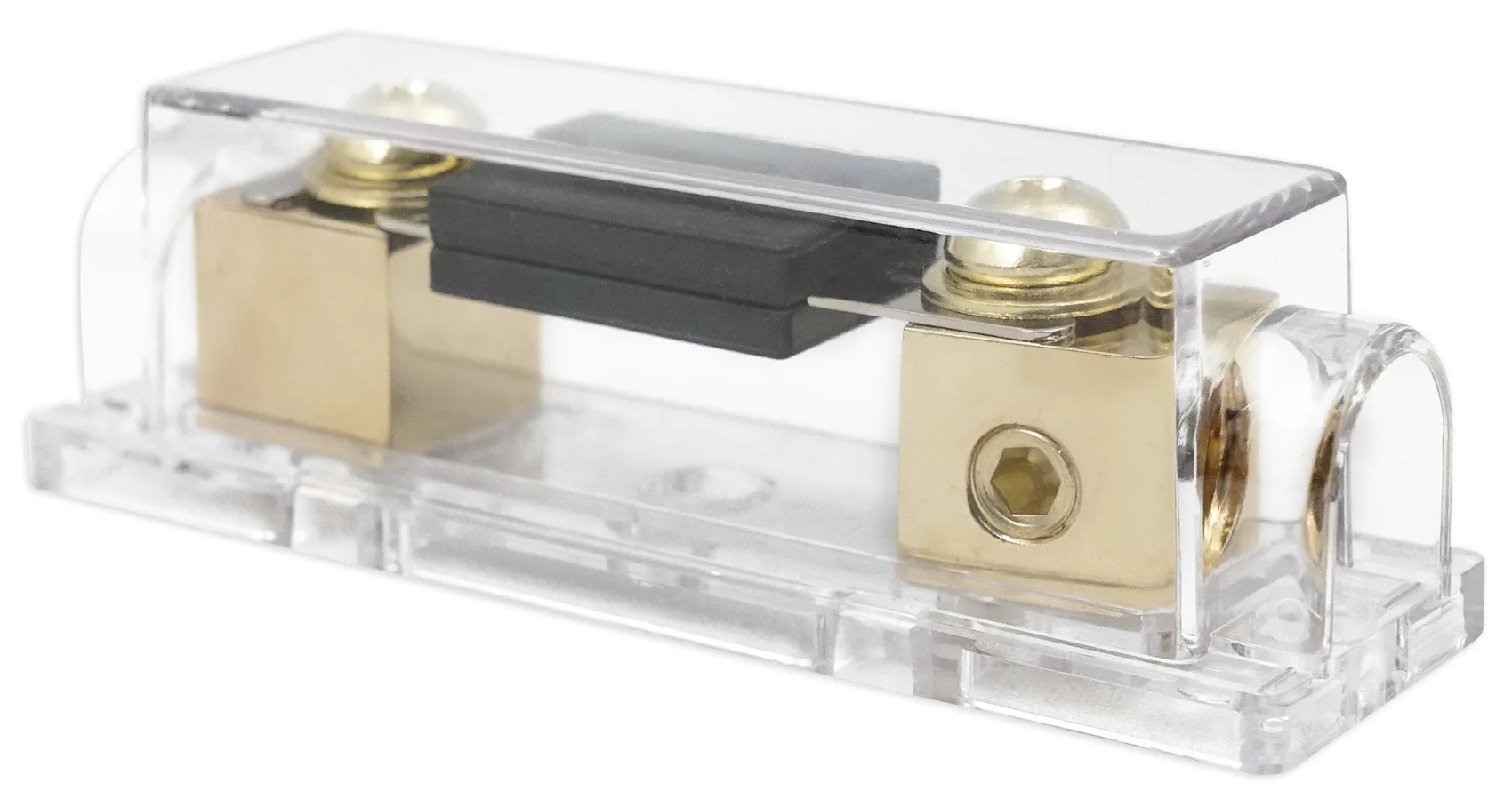 DV12 K6 Plexi Dual 12 2-Ohm + dB15 Amplifier Bundle - Image 6