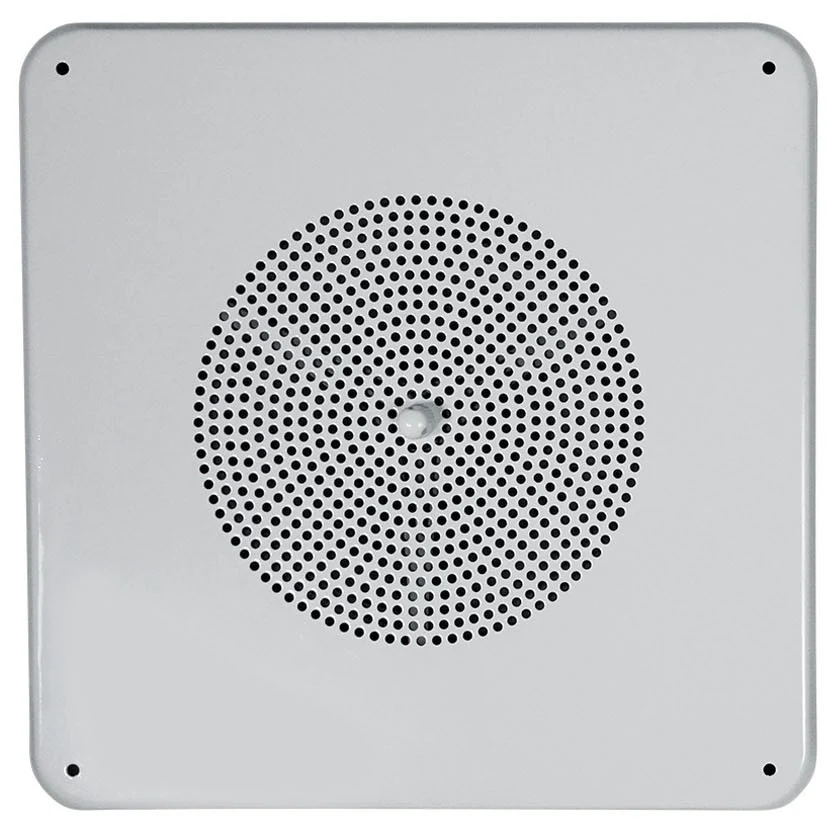 MS81 SINGLE SPEAKER