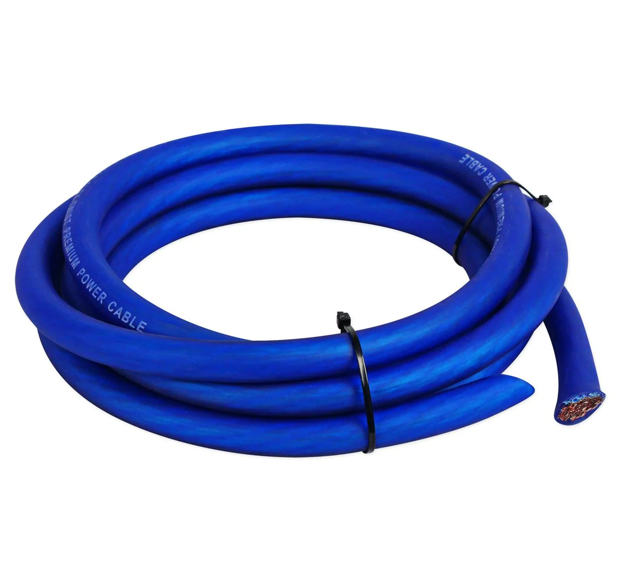 R0G100BLUE - Image 3