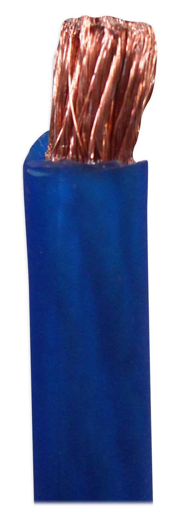 R4G40-BLUE - Image 4