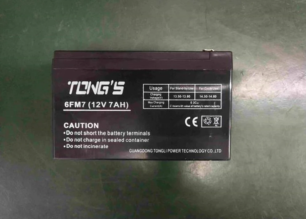 ROCKNGO 800 BATTERY