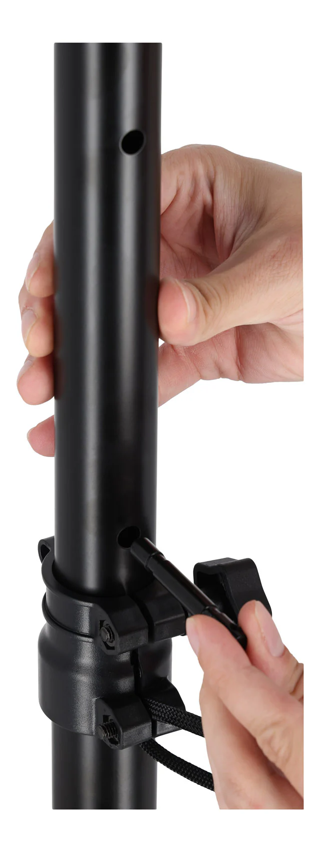 SS6 - Image 8